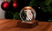 Amber Crystal Light Kingfisher