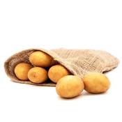 Connect - Untreated Blight Resistant Seed Potatoes. Pre-Order image