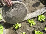 Wool Slug Barrier