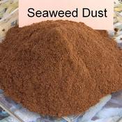 Health-Sea Seaweed Dust image