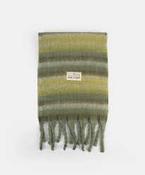 PEPE MOLL 252819 GREEN