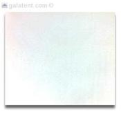 15cm x 12.5cm Gala Shade Gazebo Repair Patch &amp; Glue (White)