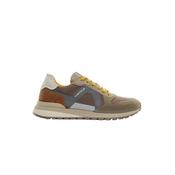 Ambitious Teddy Sneaker