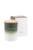 Fig Tree Candle image