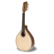 APC Mandolin MDL305