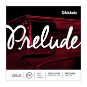 D'Addario Prelude Cello 4/4 image