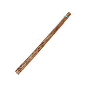 Cactus Rainstick 75cm