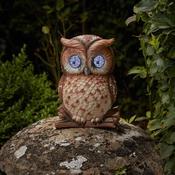 Blinkin Owl | 1020042