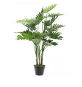 100cm Artificial Philodendron in Pot - Green | 802142 image
