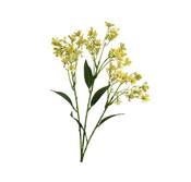 72cm Artificial Jasmine Flower on Stem - Yellow | 808410 image