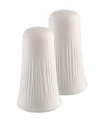 Belleek Living Erne Salt &amp; Pepper Set | 9309 image