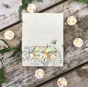 Irish Botanicals Wildflowers Wild Rose &amp; Stinging Nettle Wax Melts 12 Pack | IBW-WSN-WM image