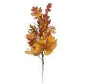 Autumnal Leaf And Pumpkin Branch | NCT047 image