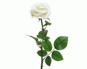 Silk Rose Open on Stem image