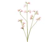 Soft Pink Sweetpea on Stem│800199