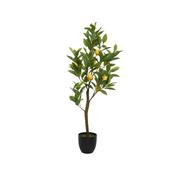 92cm Artificial Lemon Tree in Plant Pot│801067 image