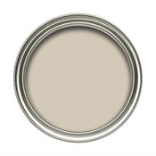 Dulux Vinyl Soft Sheen Bleached Lichen