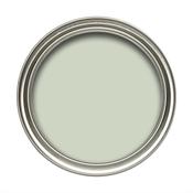 Dulux Vinyl Soft Sheen Pearl Green