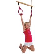 WOODEN RING TRAPEZE / Purple PP image