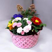Seasonal Planter