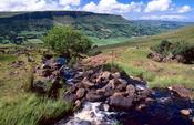 Altmore Burn, Glenariff, Co Antrim, Northern Ireland.