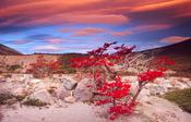 Sunset over a glacial moraine, Parque Nacional los Glaciares, Patagonia, Argentina. image