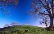 Navan Fort, Co Armagh, Northern Ireland.