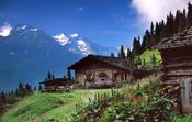 Traditional alpine chalet, Stubai Alps, Tirol, Austria.