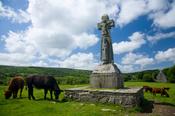 Cattle grazing near St Tola's High Cross, Dysert O'Dea, Co Clare, Ireland. image