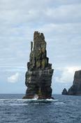 Seastack beneath the Cliffs of Moher, Co Clare, Ireland. image