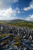 Limestone landscape near Ailwee, The Burren, Co Clare, Ireland. image