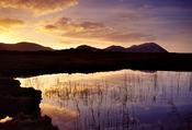 Dawn reflections in Lough Fee, Connemara, Co Galway, Ireland. image