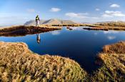 Walker beside a bog pool, Leenaun Hill, Connemara, Co Galway, Ireland.