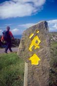 Walker on the Sheep's Head Way, Co Cork, Ireland.