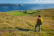 Hiker above the hamlet of Ballynacallagh, Dursey Island, Beara Peninsula, County Cork, Ireland.