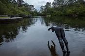 Swimmer diving into the Blue Pool, Glengarriff, County Cork, Ireland.