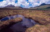 Bog pool near Errigal Mountain, Co Donegal, Ireland. image