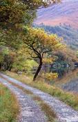 Track beside Lough Veagh, Glenveagh National Park, Co Donegal, Ireland.