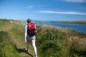 Walker on the Ballyhornan Coastal Path near Guns Island, Co Down, Northern Ireland.