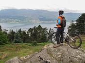 Mountain biker above Carlingford Lough, Rostrevor Forest Park, County Down, Northern Ireland.