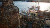 Fishing boats and lobster pots in Howth harbour, County Dublin, Ireland. image