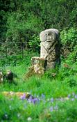 Janus figure, Caldragh Graveyard, Boa Island, Co Fermanagh, Northern Ireland.