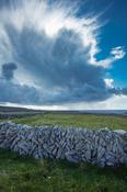 Stone wall and fields on Inishmore, Aran Islands, County Galway, Ireland. image