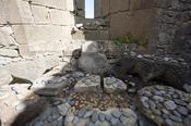 Religious offerings in The Seven Churches, Inishmore, Aran Islands, County Galway, Ireland.