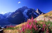 The south face of Mont Blanc, Italian Alps, Italy.