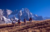 Walkers on Monte Saxe beneath the Grandes Jorasses, Tour of Mont Blanc, Italian Alps, Italy.