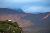 Sheep looking across the Black Valley from Moll's Gap, County Kerry, Ireland.