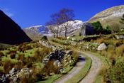 Abandonned cottage and track in the Black Valley, Co Kerry, Ireland.