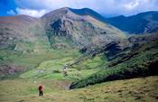 Walker climbing Tooth Mountain, Beara Peninsula, Co Kerry, Ireland.