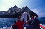 Tourist on a boat in front of Little Skellig, Skellig Islands, Co Kerry, Ireland.